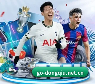 五大服务分区,信息按项目分类 - dqd